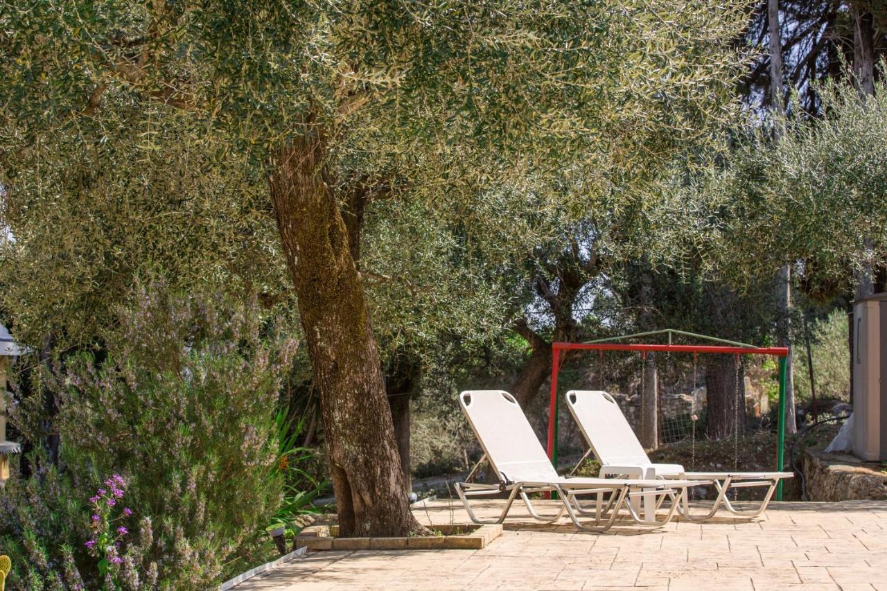 Olive Grove Poolside Apartments Benitses  Esterno foto