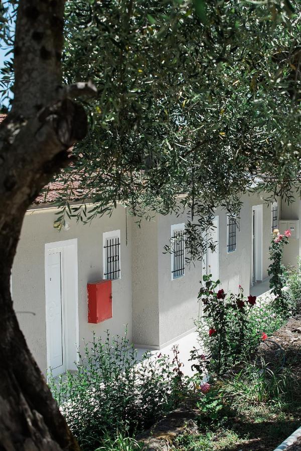 Olive Grove Poolside Apartments Benitses  Esterno foto