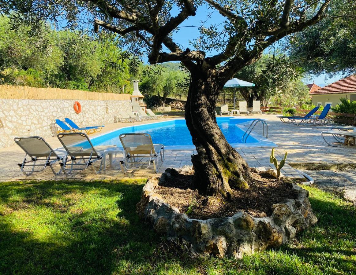 Olive Grove Poolside Apartments Benitses  Esterno foto